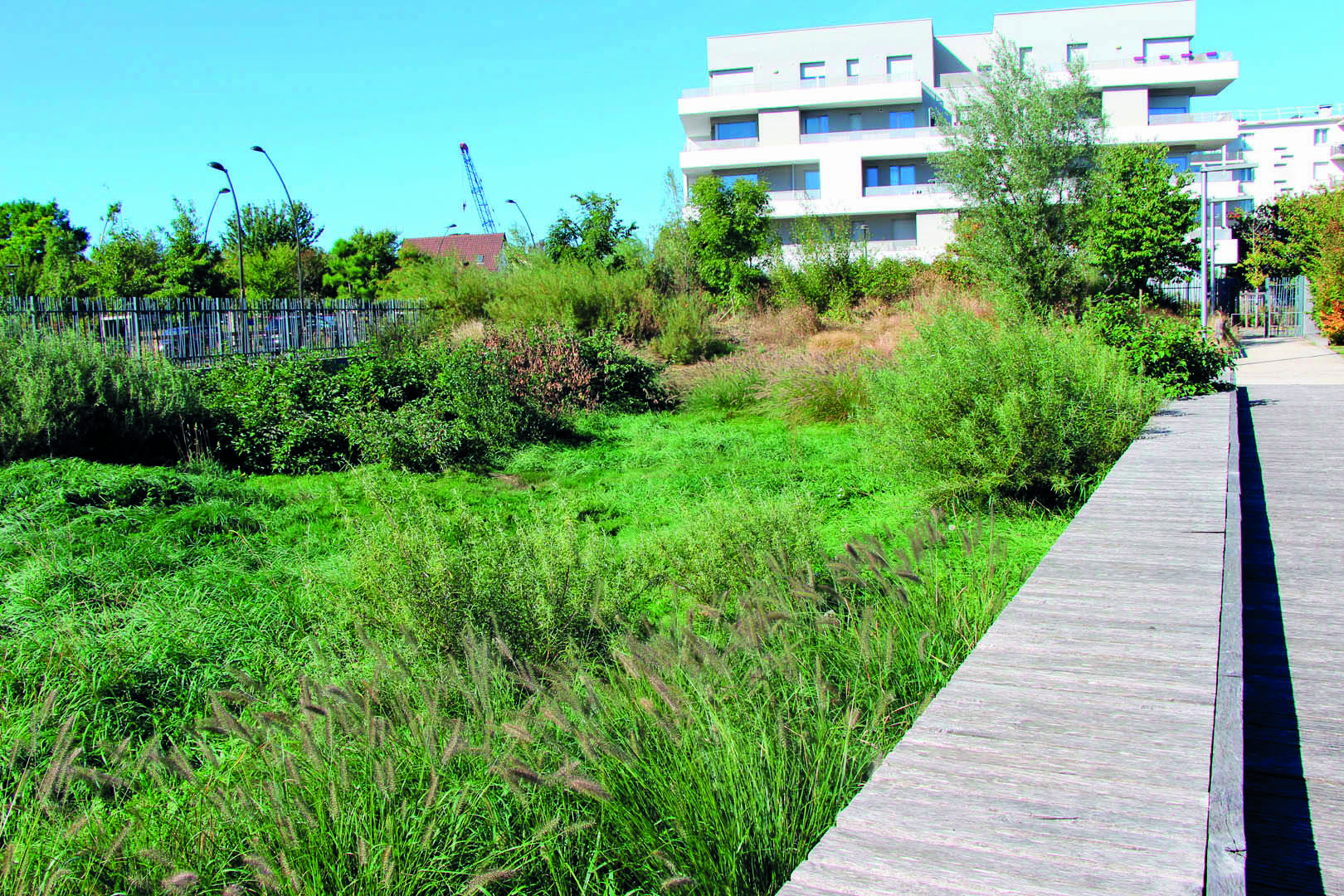 Villeneuve-le-Roi : bord de l’eau en mutation