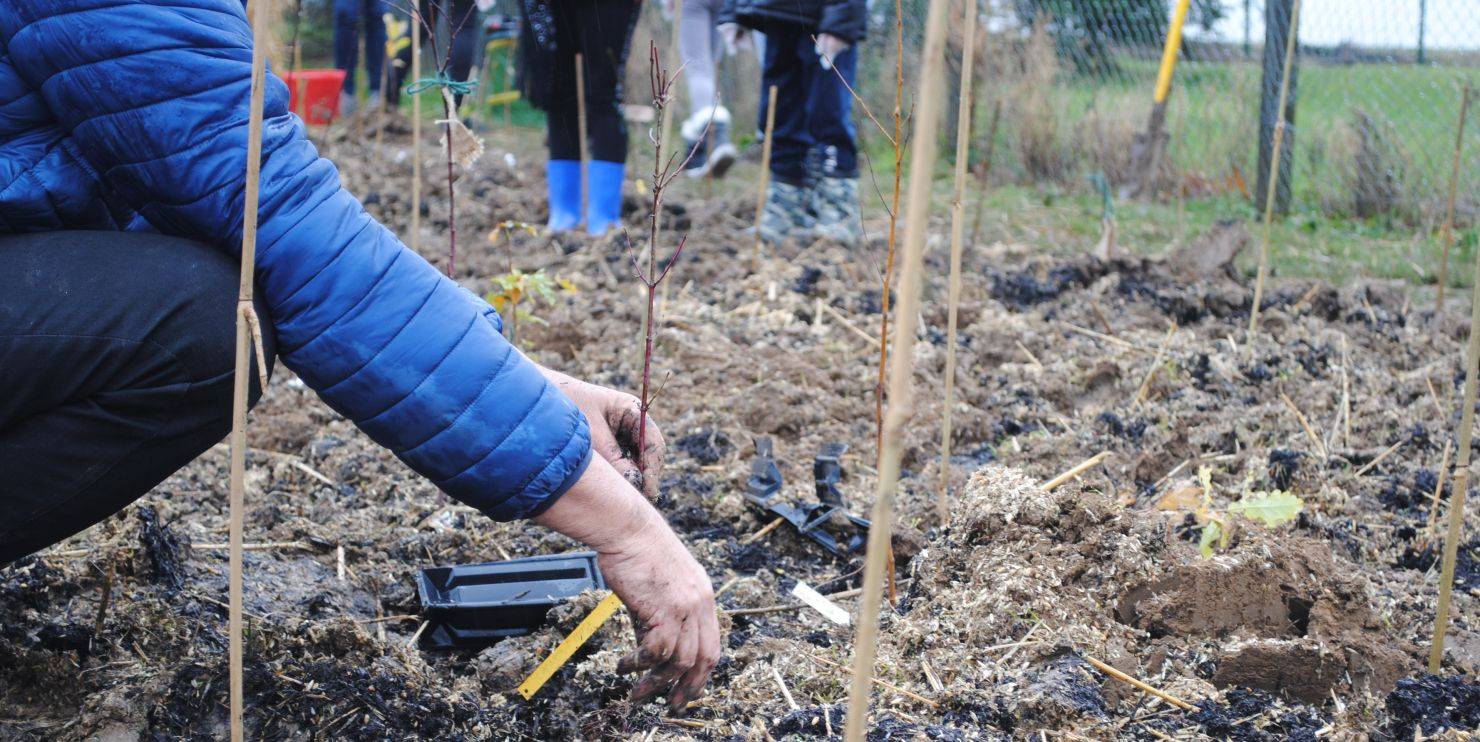 Villiers-sur-Orge : plantons une forêt urbaine