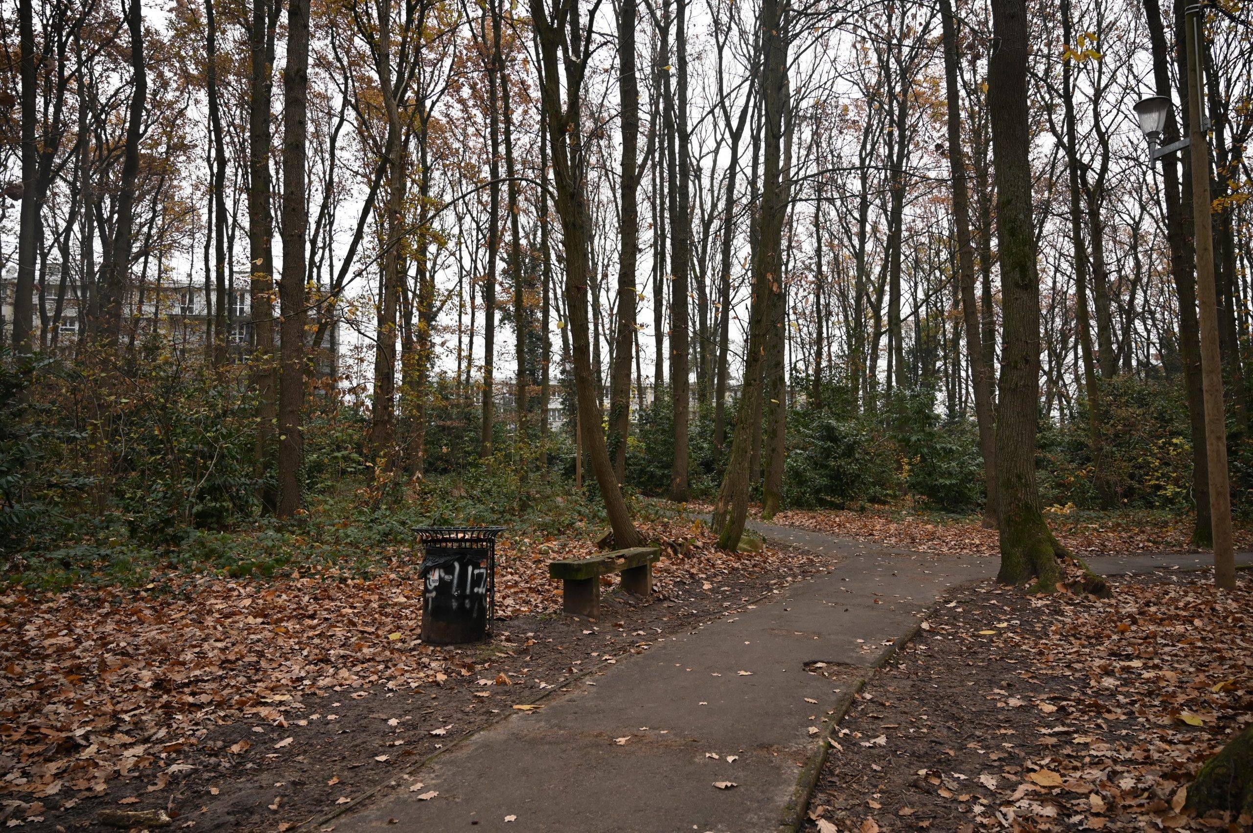 Saint-Michel-sur-Orge : Réhabilitation au bois des Roches