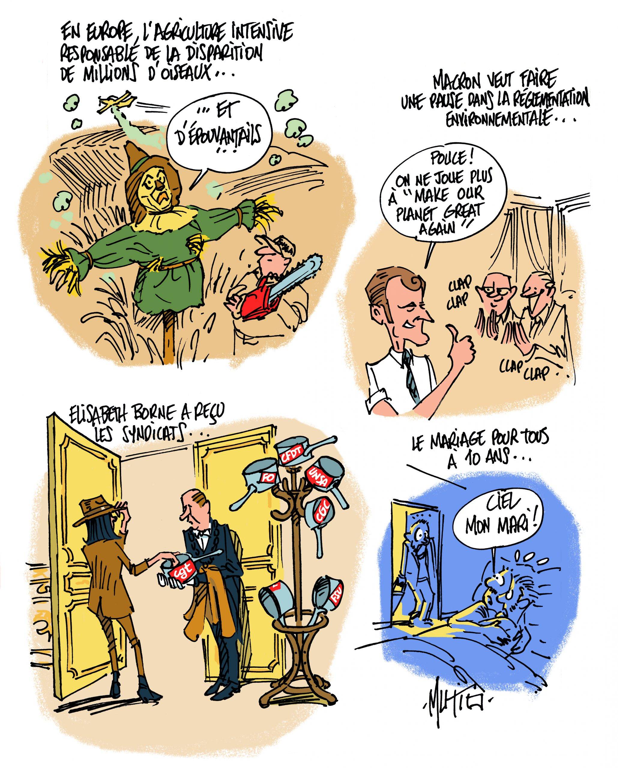 Oiseaux, Macron, Borne et mariage pour tous