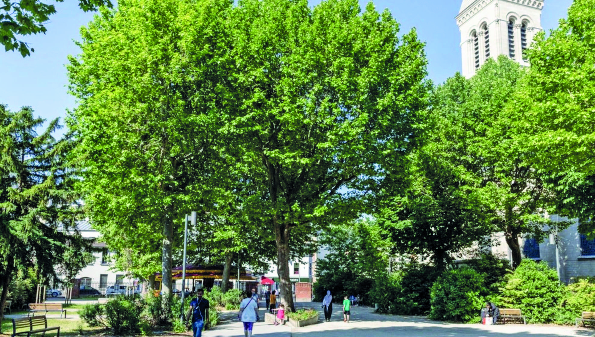 Plaine Commune : plan Arbre 2030