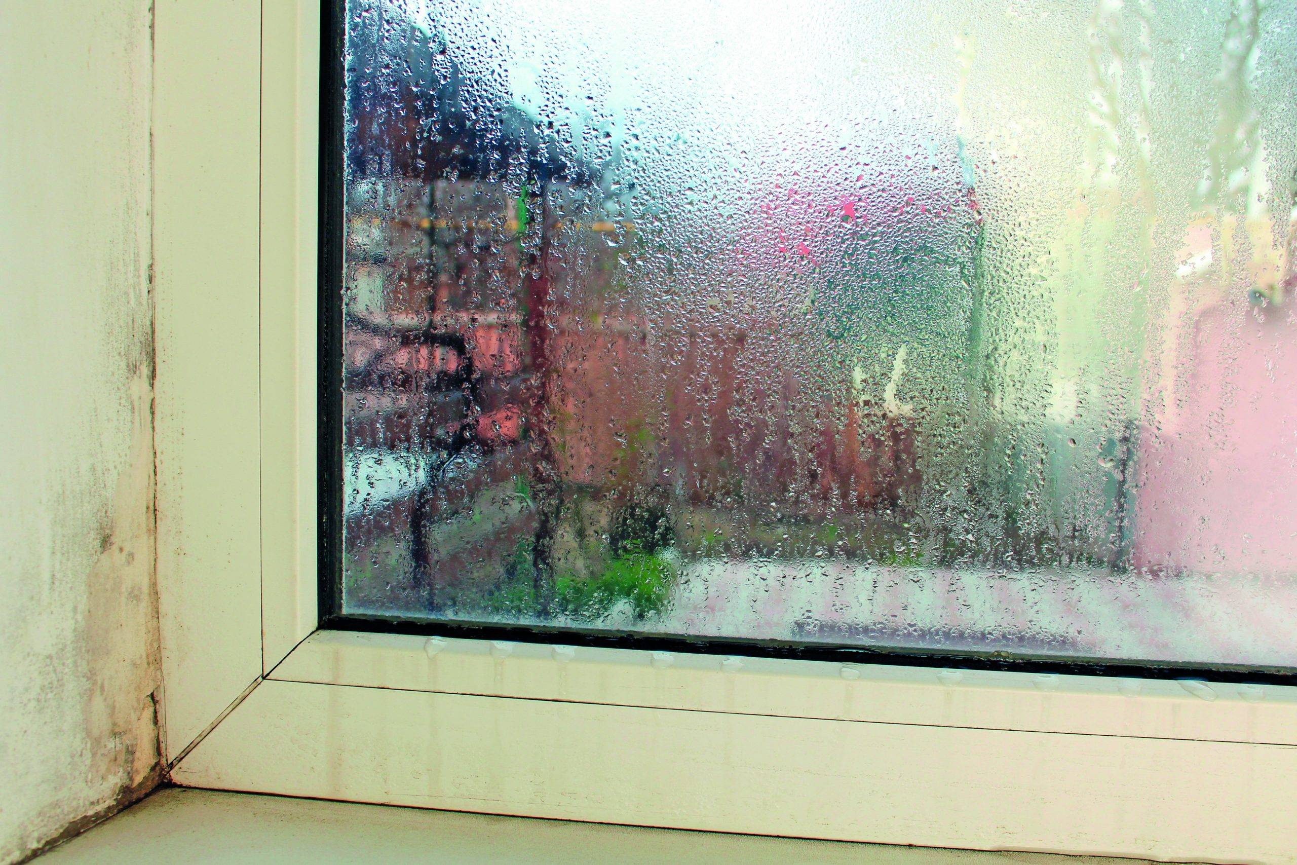Logement : Plateforme Histologe