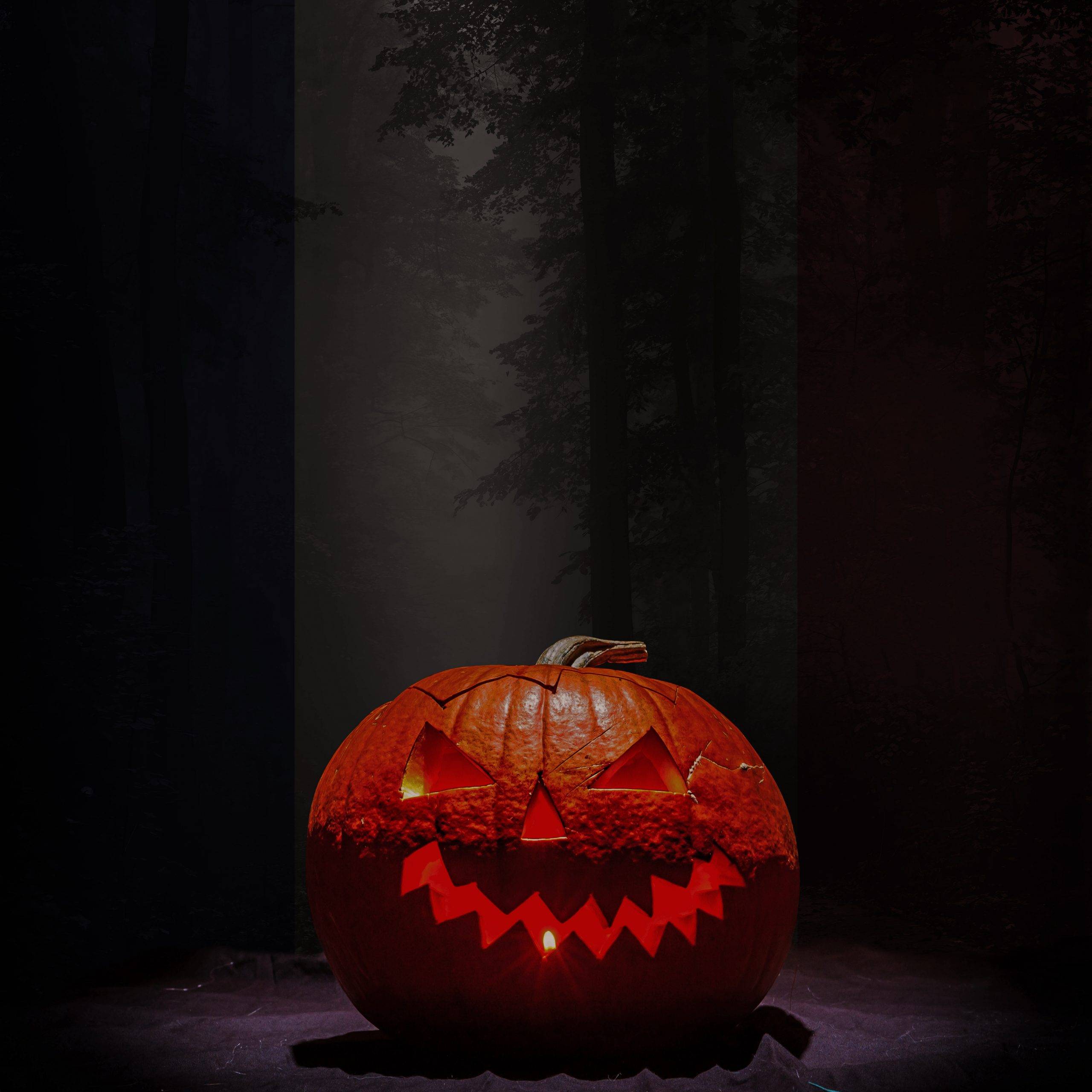 Étampois Sud-Essonne : l’Agglo fête Halloween