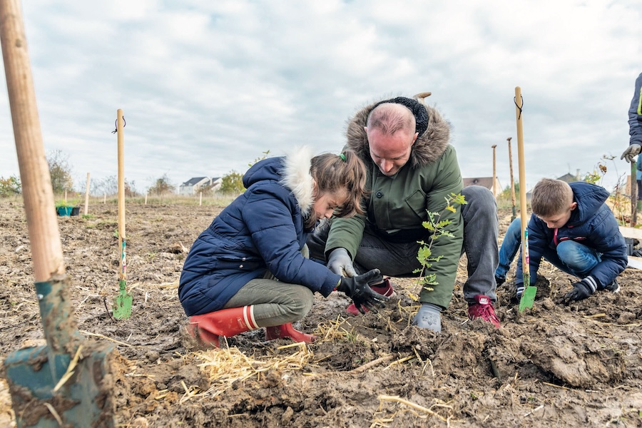 Villiers-sur-Orge : planter une forêt urbaine