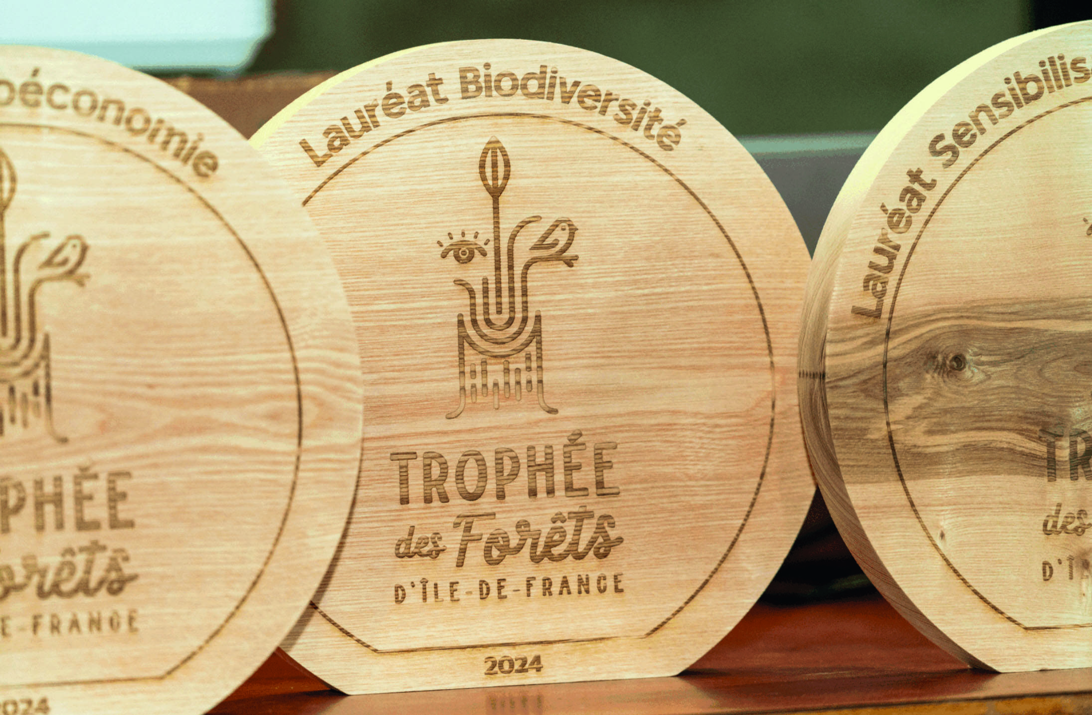 Fontainebleau : trophées des forêts d’Île-de-France
