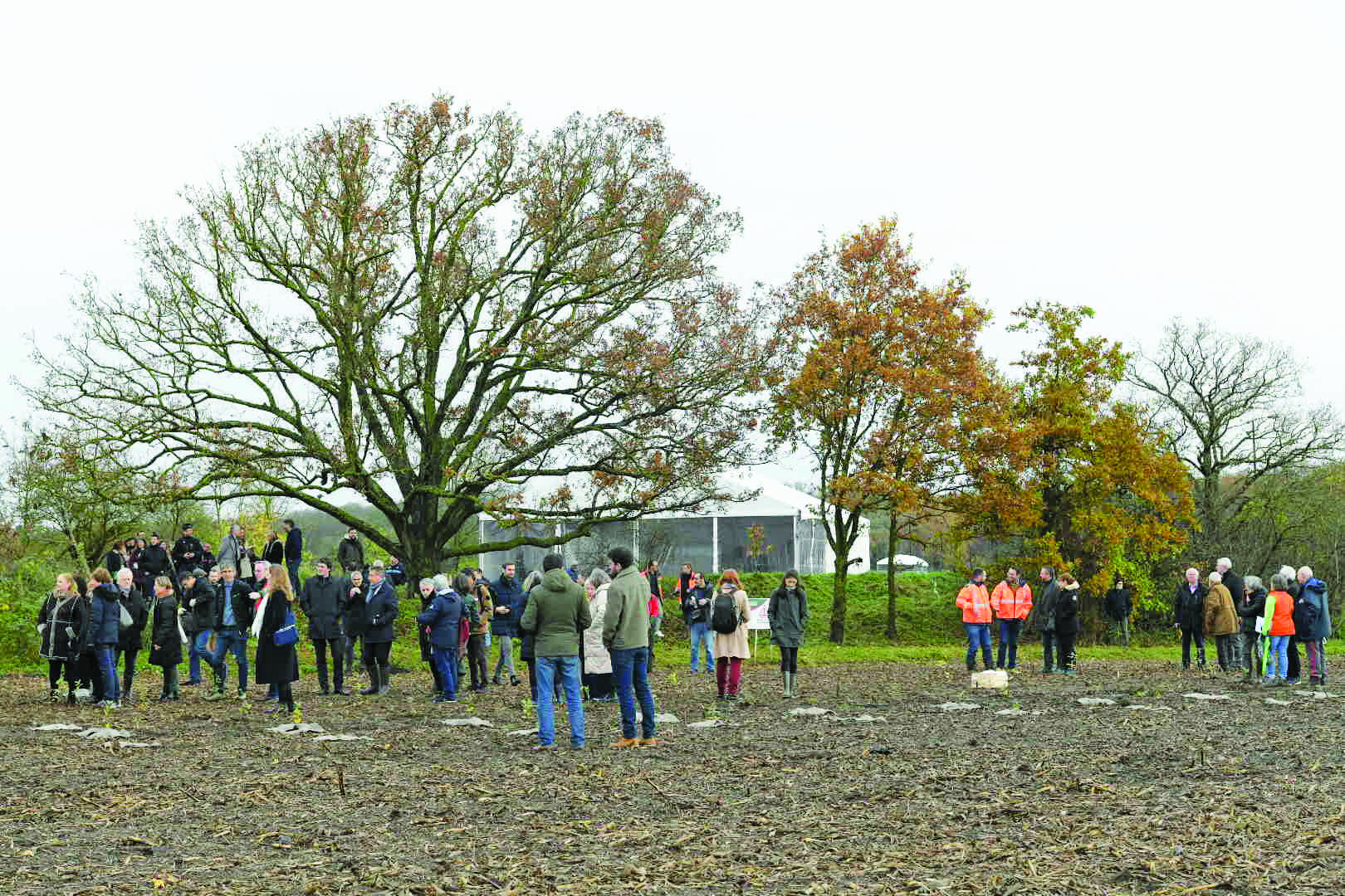 Forêt de Maubuisson : campagne de souscription