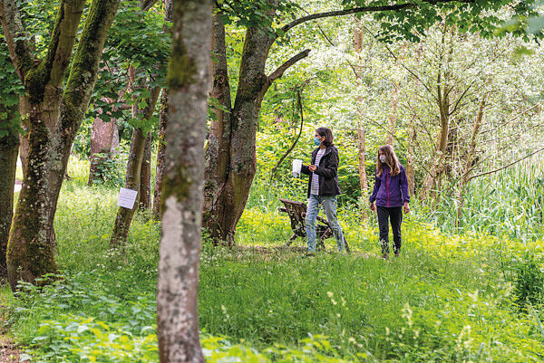 Palaiseau : printemps de l’Environnement