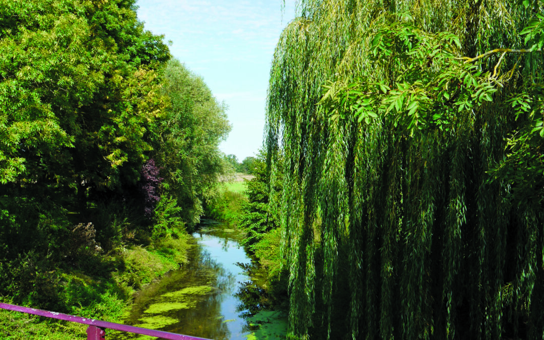 Yerres : repenser la gestion de l’eau