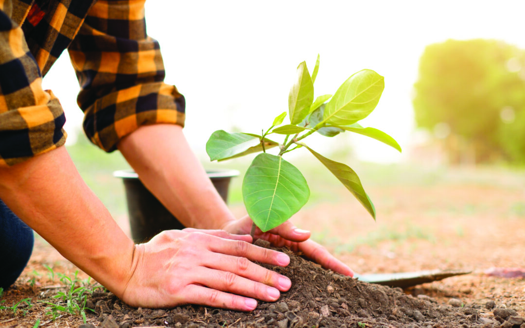 Département : actions pour la biodiversité