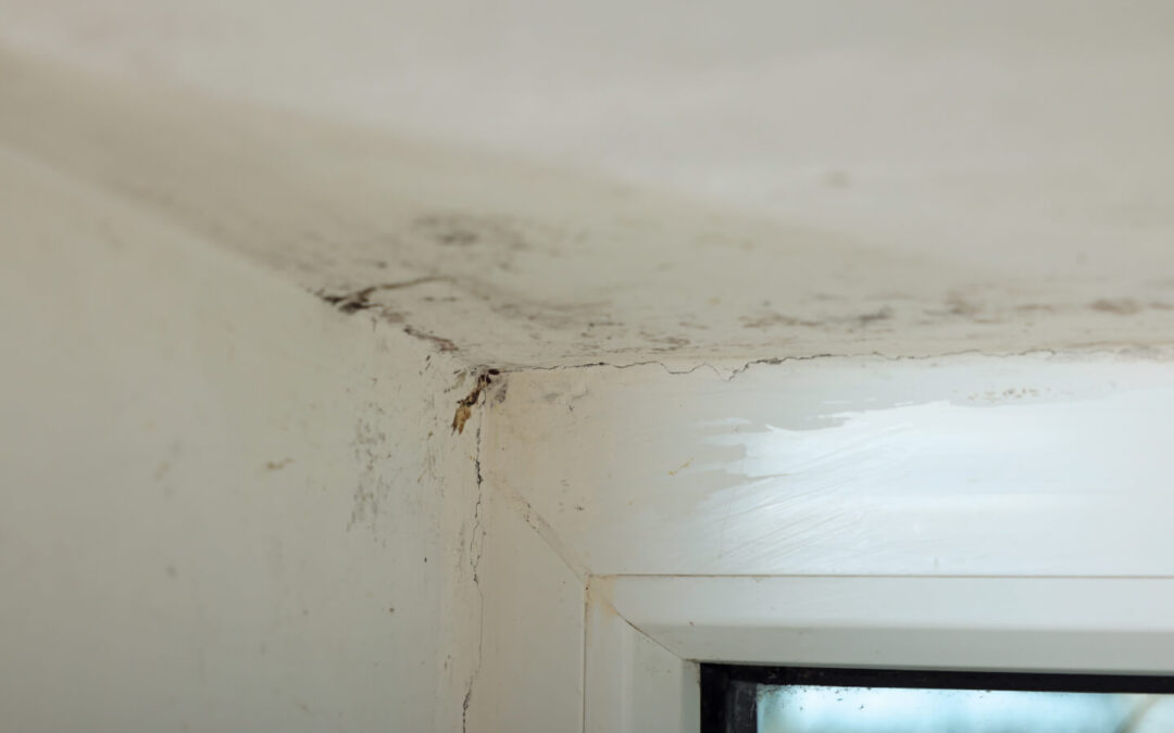 Logement : plan de lutte contre l’habitat indigne