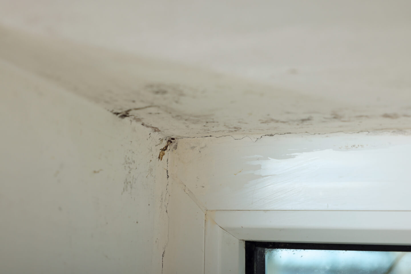 logement
