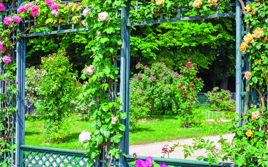 L’Haÿ-les-Roses : la Roseraie du Val-de-Marne