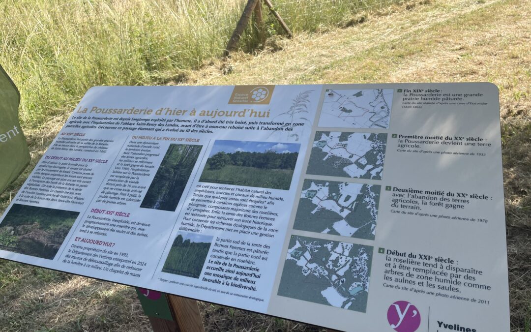 Clairefontaine-en-Yvelines : restauration écologique de la Poussarderie