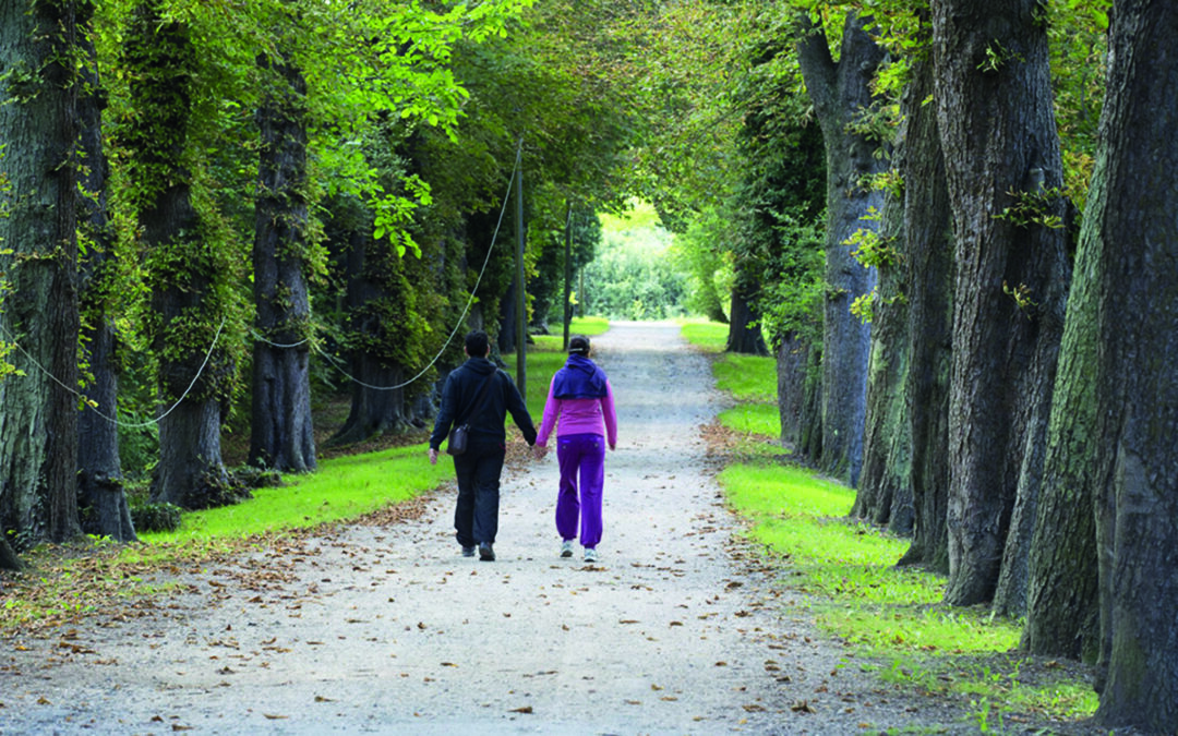 Claye-Souilly : préserver la forêt de demain