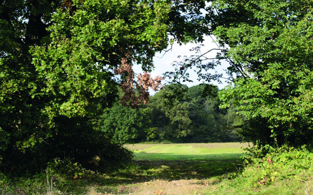 Environnement : biodiversité à Saint-Eutrope