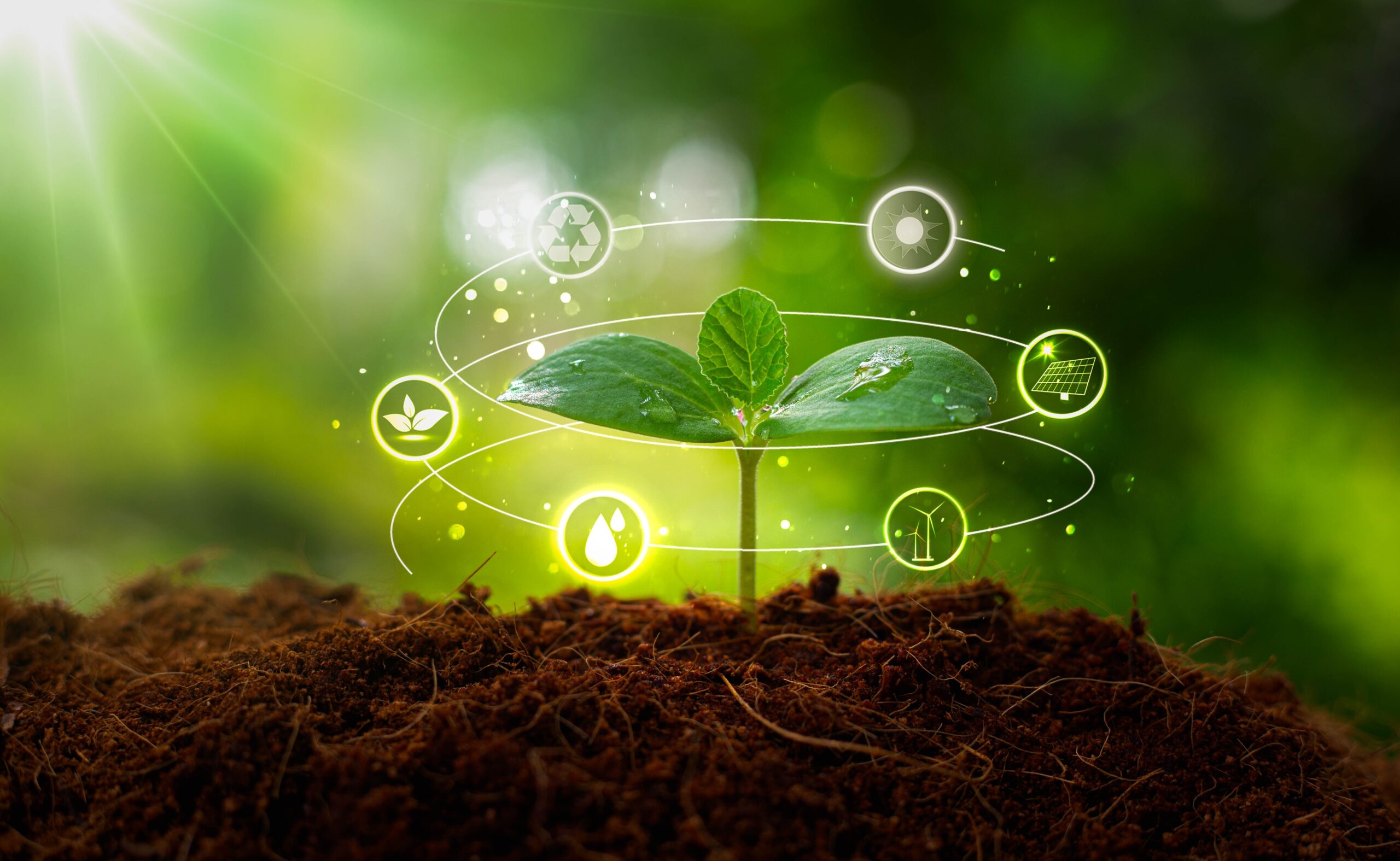 Environmental,Protection,,Renewable,,Sustainable,Energy,Sources.,Plant,Growing,With,Icons