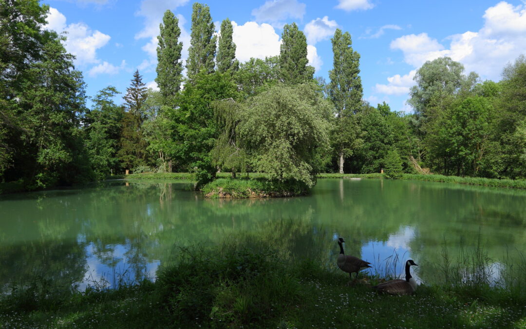 Semaine du développement durable : le Val-d’Oise en action
