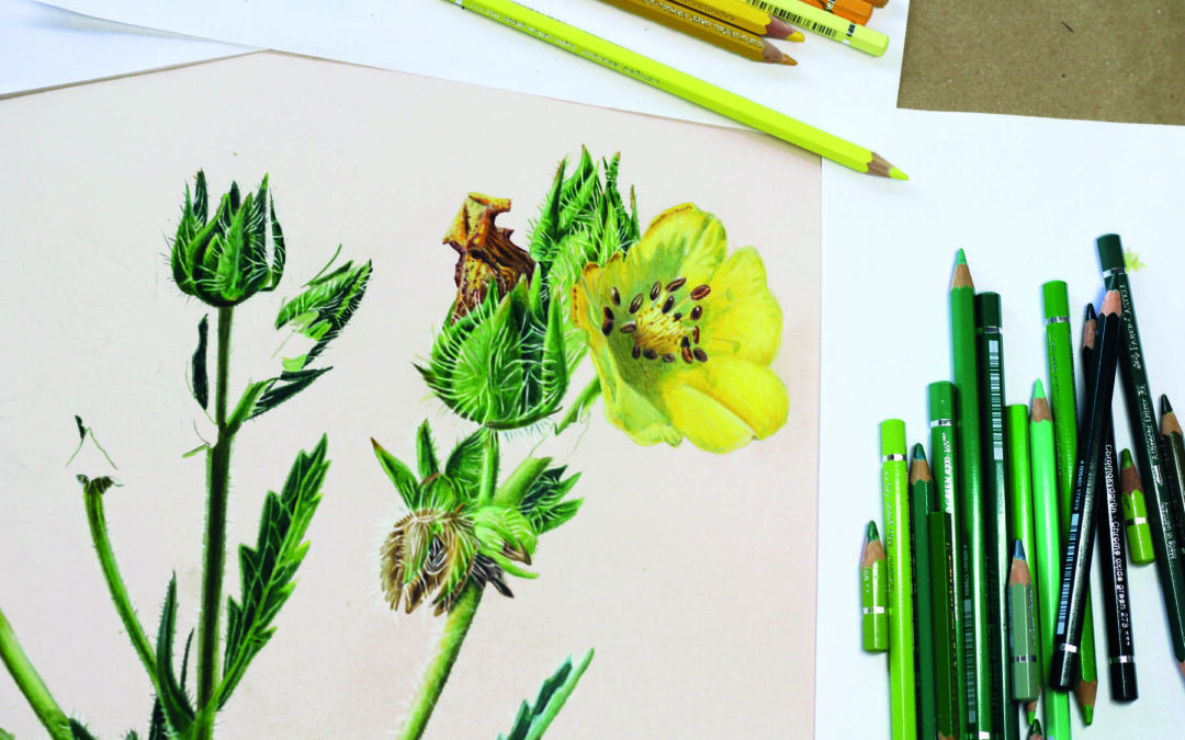 Boulogne-Billancourt : 1011 au musée Albert-Kahn