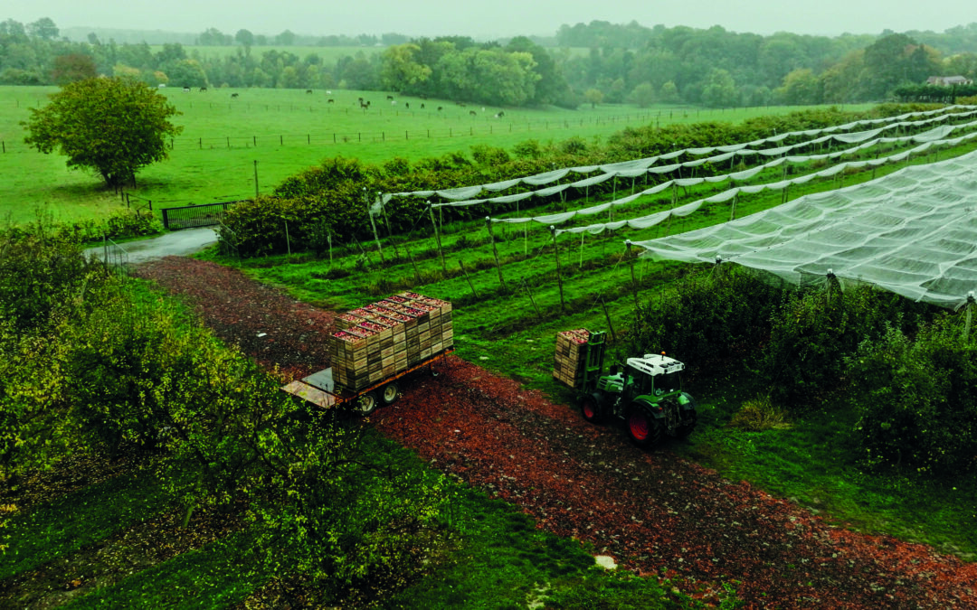 Agriculture : cultiver l’avenir