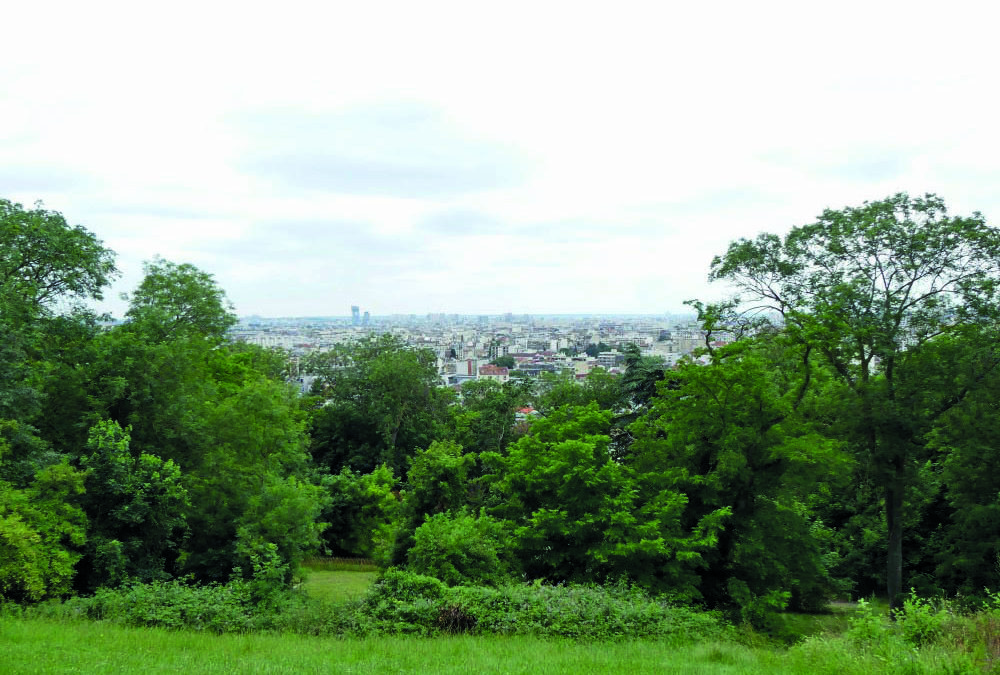 Montreuil : travaux au parc des Beaumonts