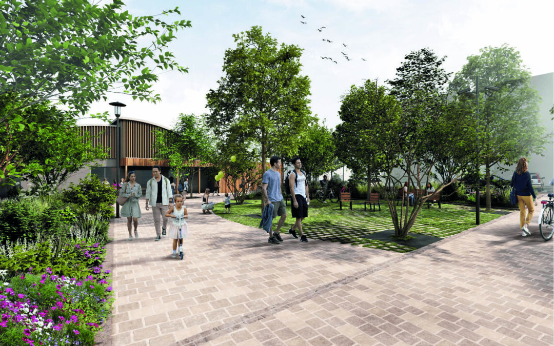 Sceaux : Écologie citoyenne sur la place des Ailantes