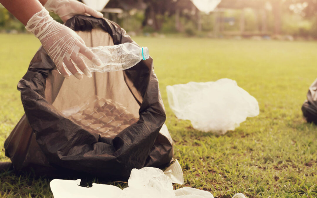 Châtenay-Malabry : pour une villepropre