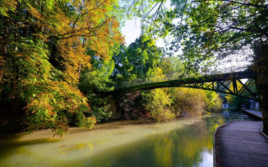 Bords de Marne : renaissance fluviale