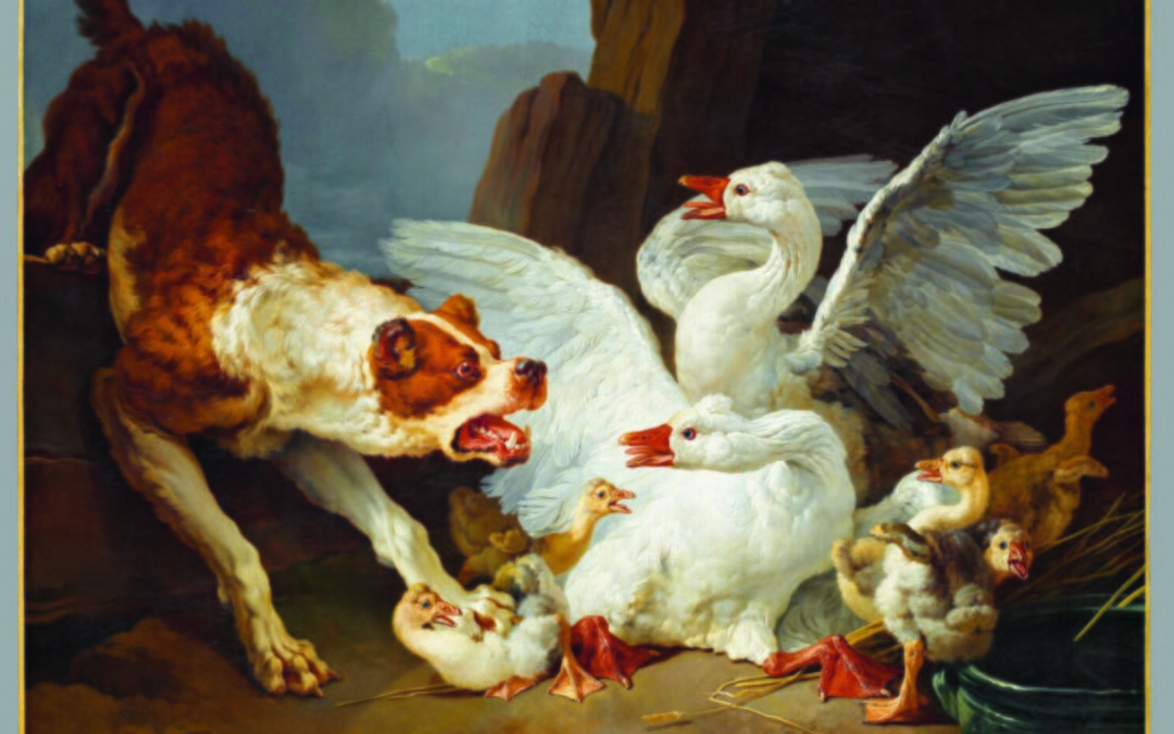 Musée du Louvre : à hauteur de chien