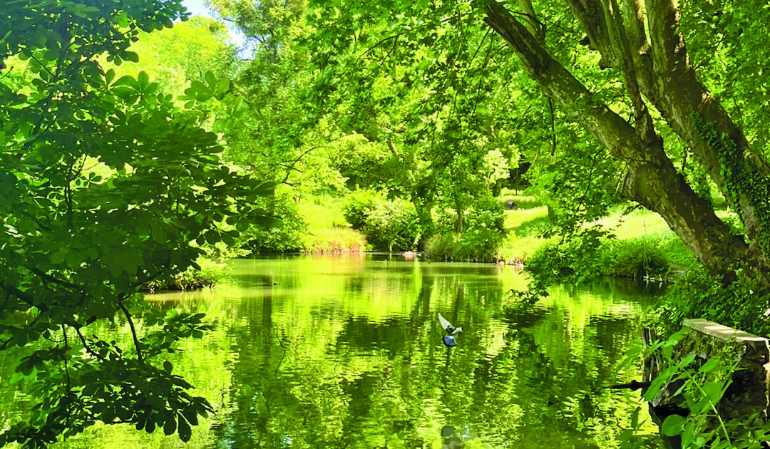 Clichy-sous-Bois : un parc à réinventer