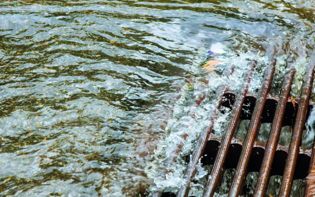 Entre Juine et Renarde : enquête sur la gestion des eaux