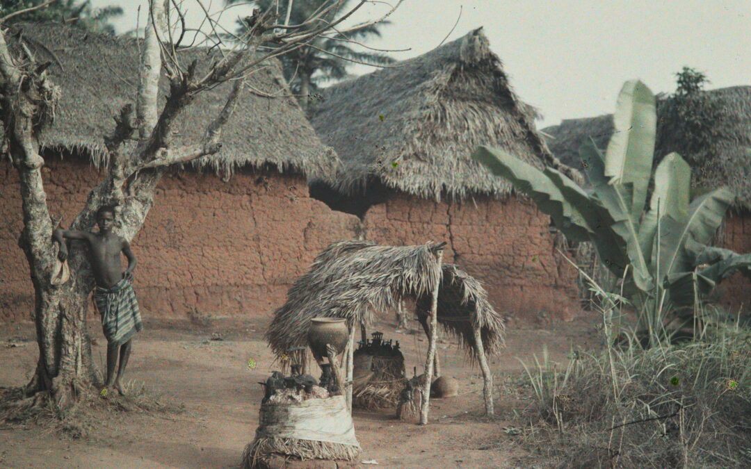 Bénin aller-retour au musée Albert-Kahn