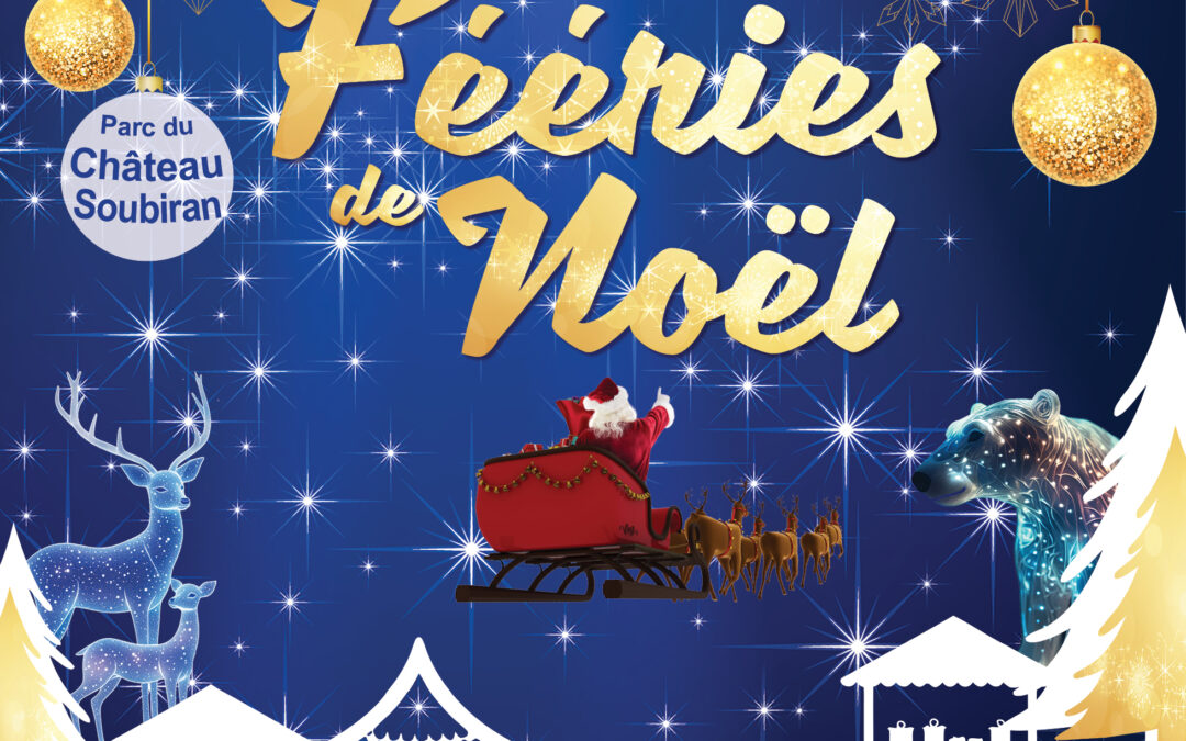 Dammarie-les-Lys : féeries de Noël