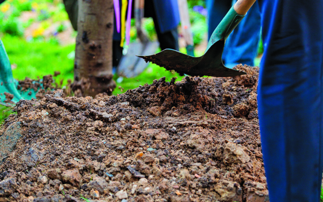 Département : choix structurants pour l’avenir