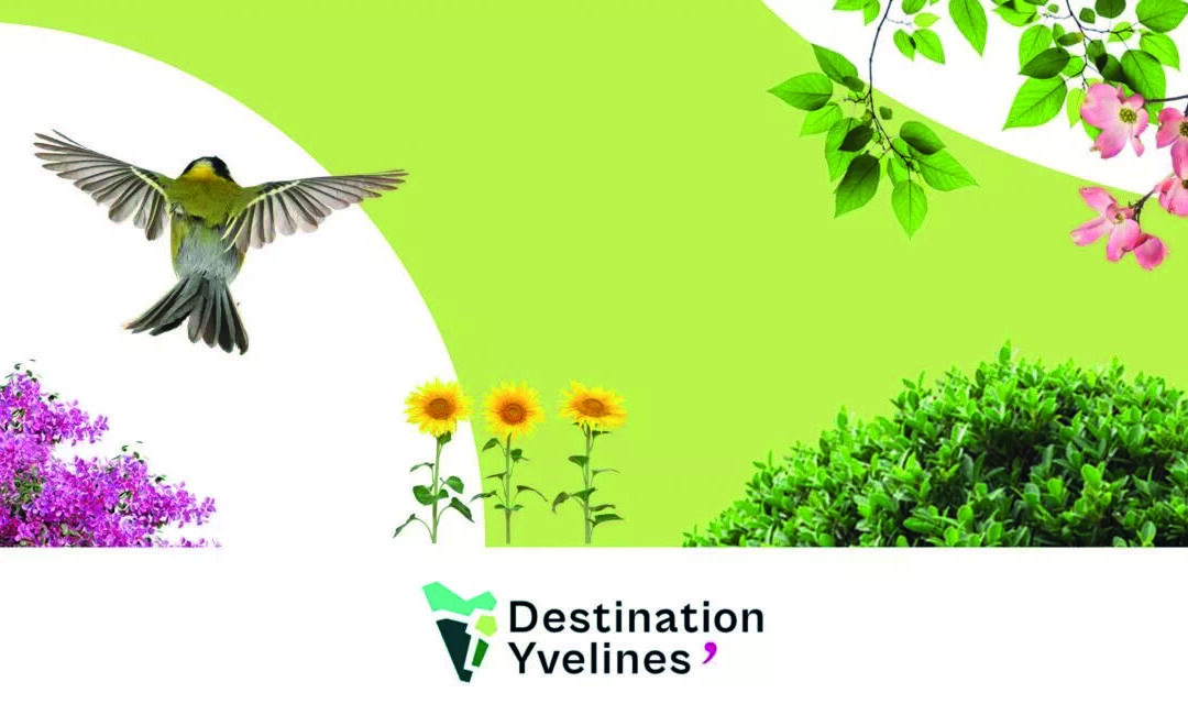 Biodiversité : villes et villages fleuris