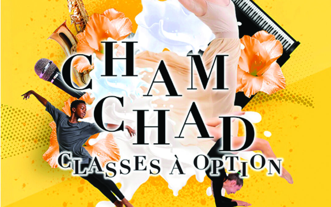 Aulnay-sous-Bois : art et sport au collège