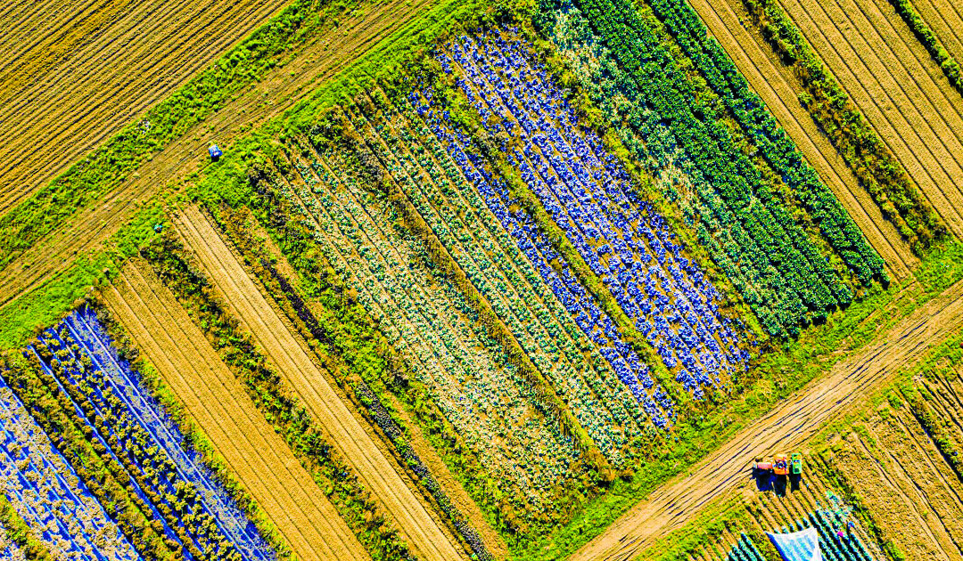 Trophée Idealco : la Ferme de l’Envol récompensée