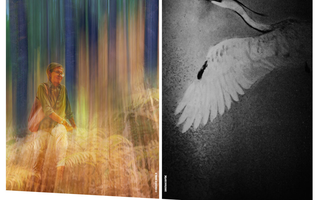 Clic’Arts à Istres : deux regards, une chapelle