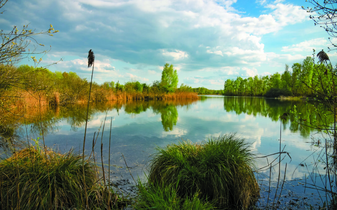 Journée mondiale des zones humides : la Seine-et-Marne célèbre un patrimoine vivant