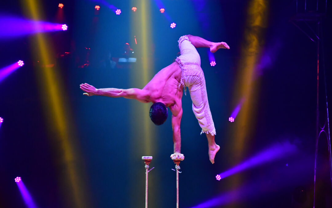 Pays de Grasse : en 2026, le cirque s’installe au cœur du territoire