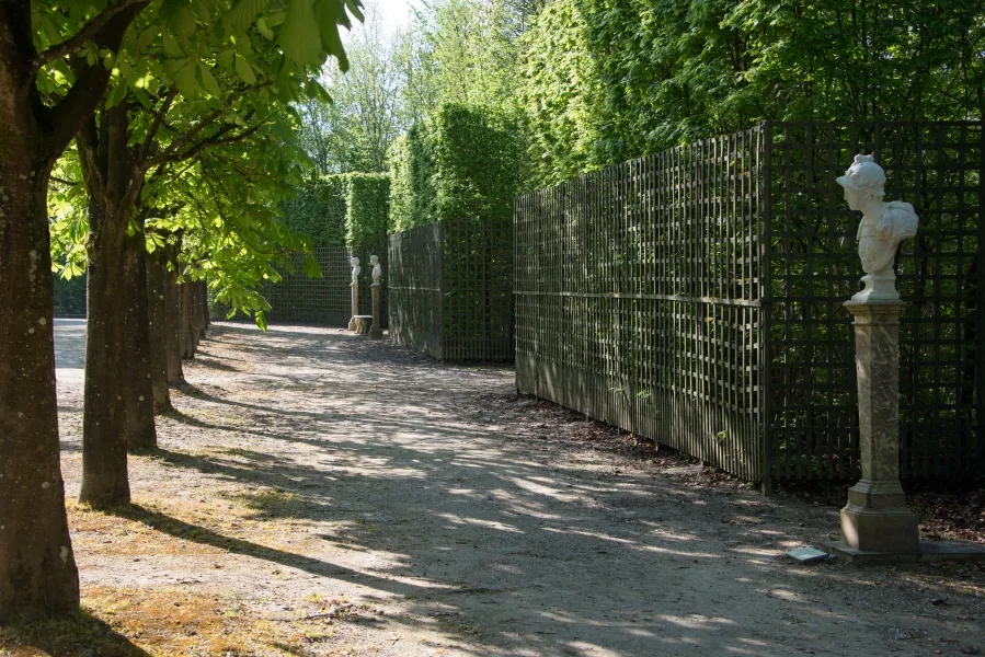 Versailles : restauration du bosquet de la Salle des Marronniers