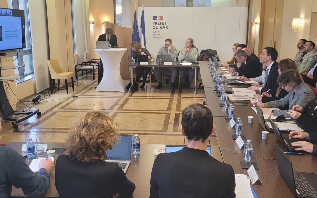 Espèces invasives : un pilotage départemental inédit mis en place dans le Var