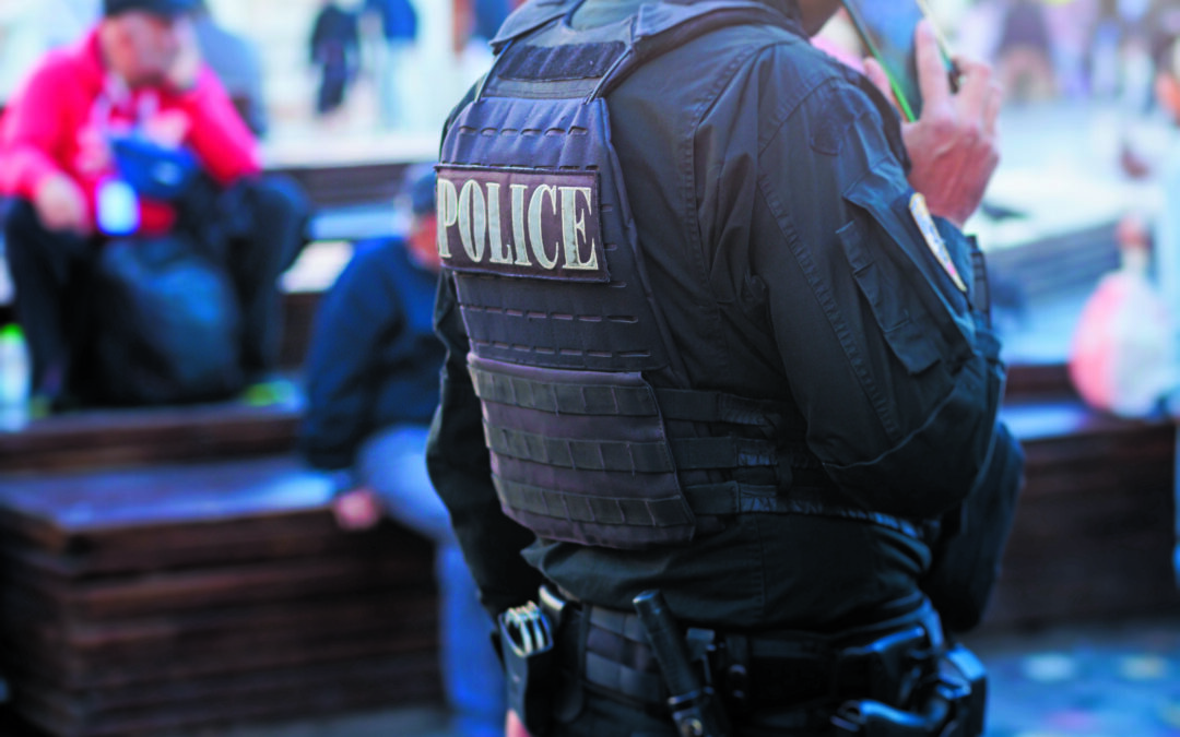 Préfecture : rapport sur la délinquance