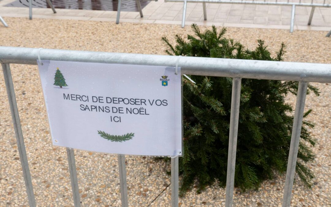 Collecte des sapins : un geste simple pour un impact durable à Bandol