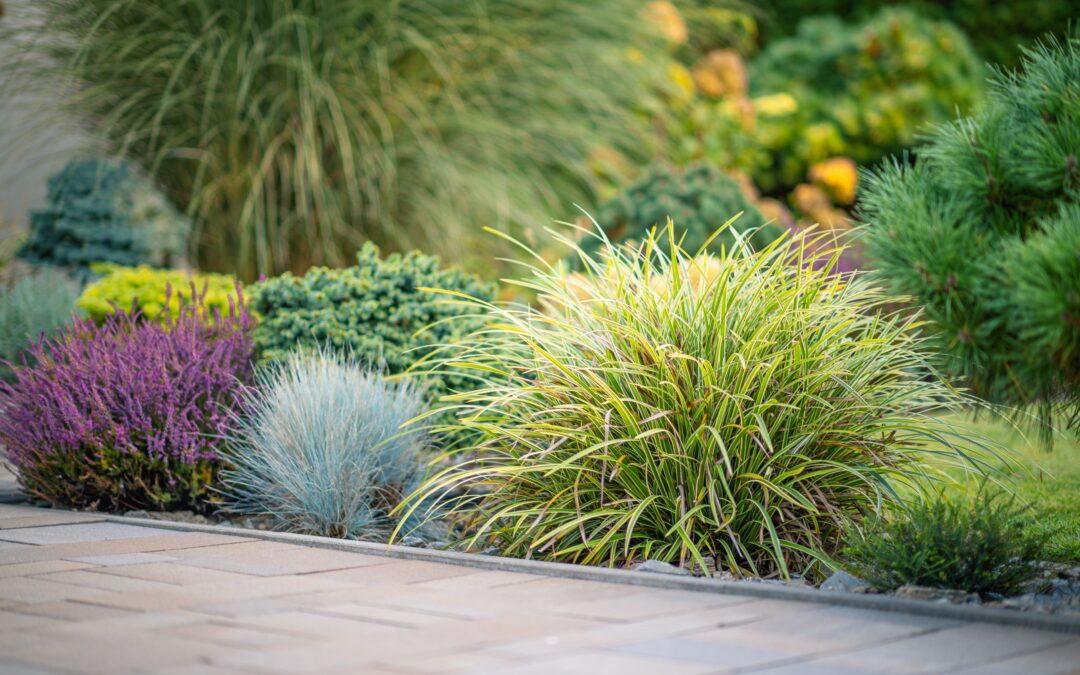 Le Square Bènes inauguré, un nouveau cœur de vie pour Saint-Laurent-du-Var