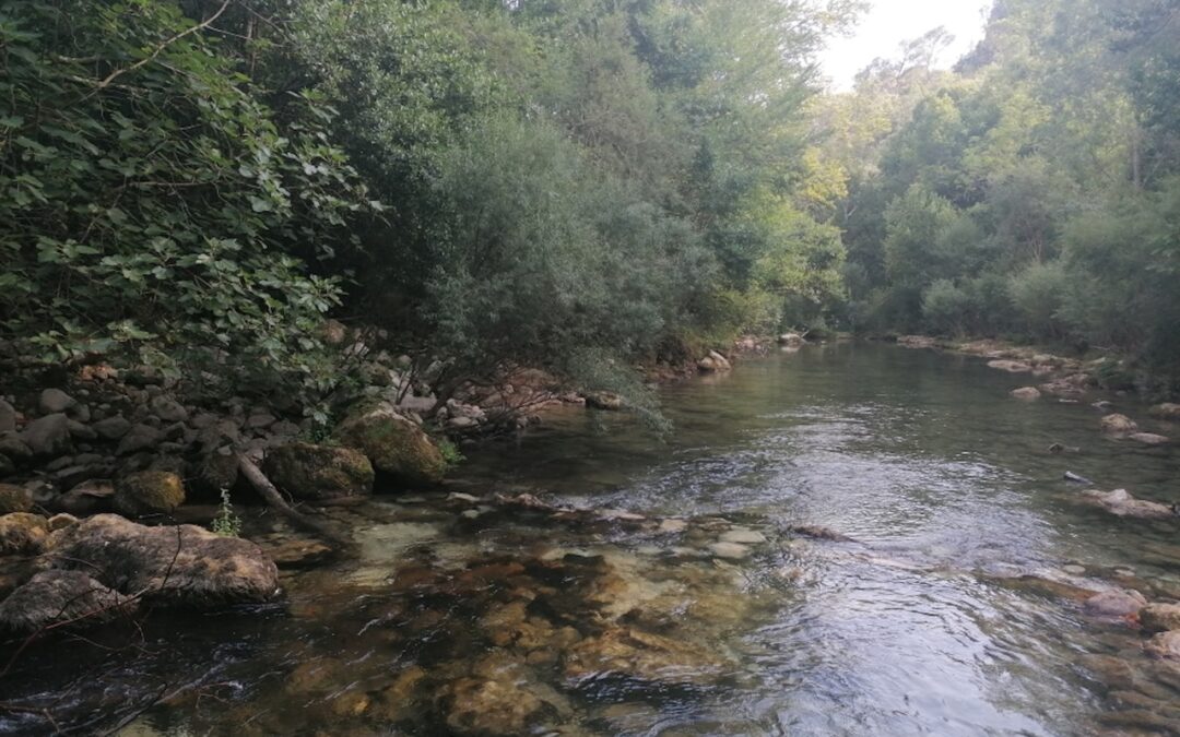 Le Pays de Fayence modernise sa ressource en eau potable