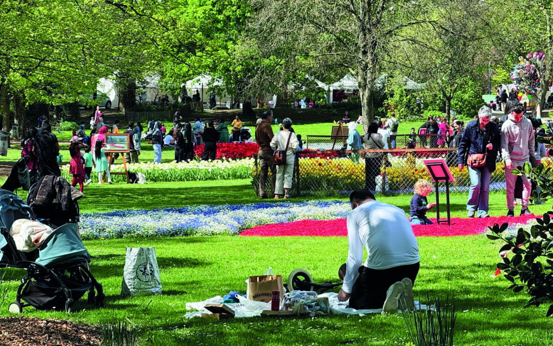Saint-Denis : ami pour la Fête des tulipes