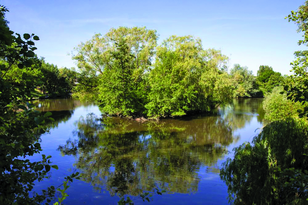 Bassin des Moulinets : chantier vert à Eaubonne