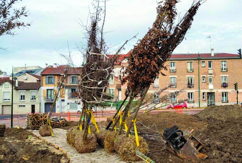 Bagneux : micro-forêts en ville