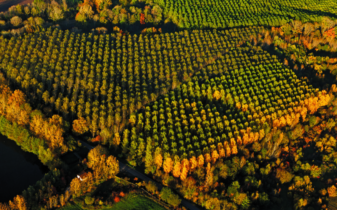 Zéro artificialisation nette : le Département réaffirme sa ligne