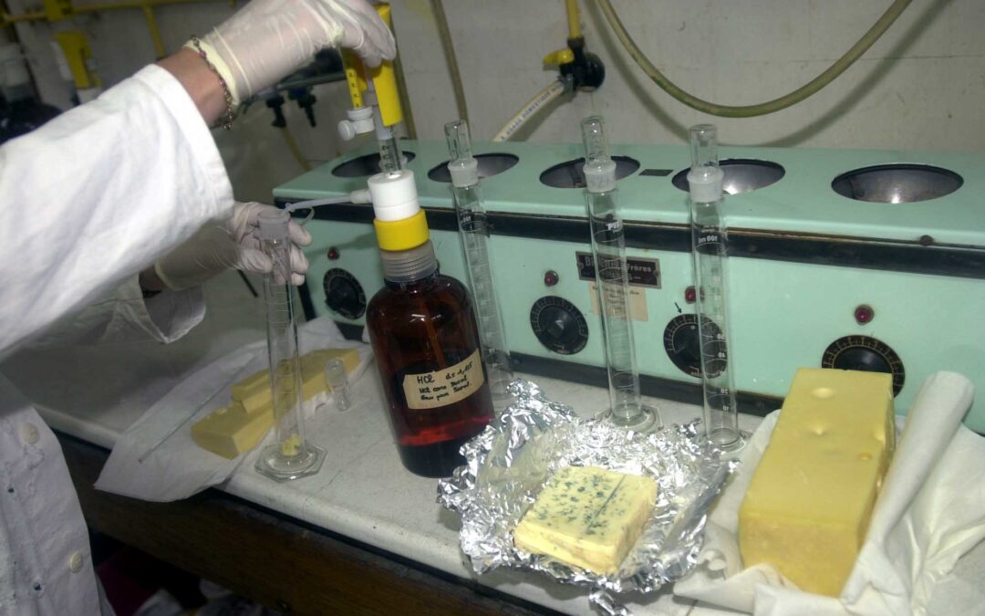 Vingt ans du Service commun des Laboratoires